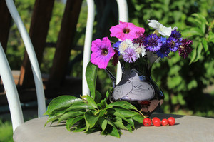 Image-preview_300x200