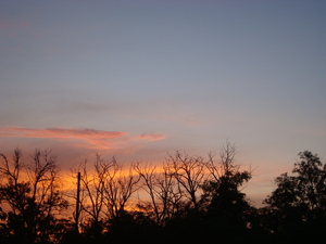 Image-preview_300x200