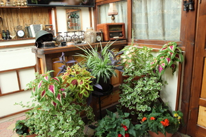 Image-preview_300x200