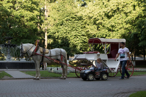 Image-preview_300x200