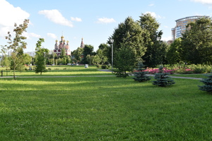 Image-preview_300x200