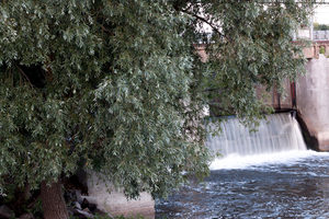 Image-preview_300x200