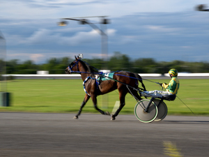 Image-preview_300x200