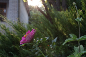 Image-preview_300x200