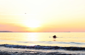 Image-preview_300x200