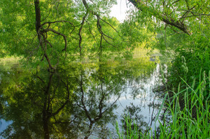 Image-preview_300x200