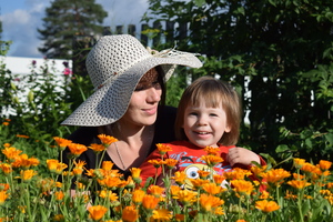 Image-preview_300x200