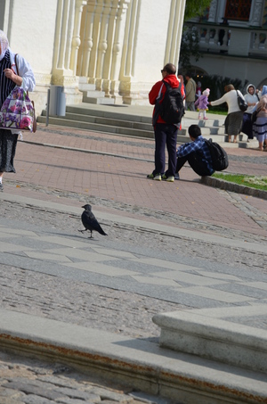 Image-preview_300x200