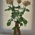Image-square_50
