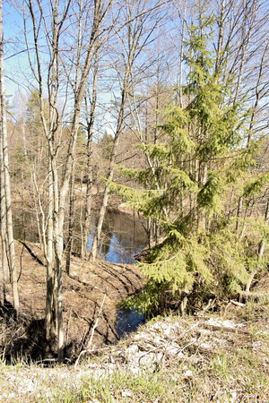 Image-preview_300x200