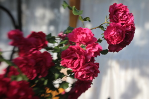 Image-preview_300x200