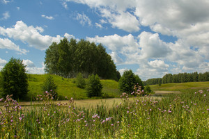 Image-preview_300x200