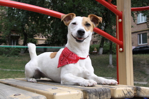 Image-preview_300x200