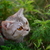 Image-square_50