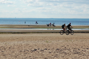 Image-preview_300x200