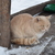 Image-square_50