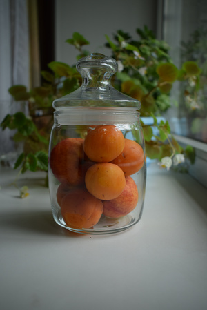 Image-preview_300x200