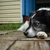 Image-square_50