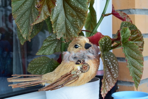 Image-preview_300x200