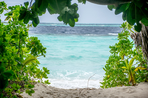 Image-preview_300x200