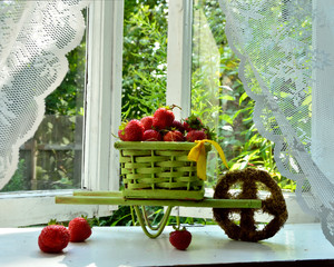 Image-preview_300x200