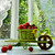 Image-square_50