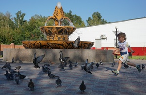 Image-preview_300x200