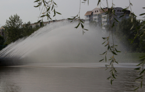 Image-preview_300x200