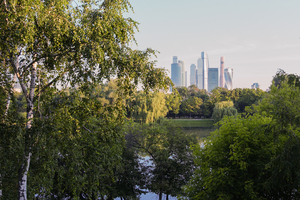 Image-preview_300x200