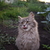 Image-square_50