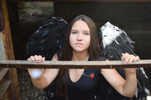 Image-preview_300x200