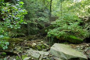 Image-preview_300x200