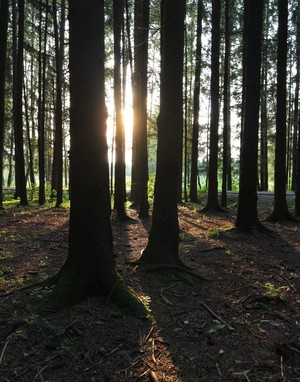 Image-preview_300x200