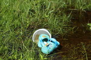 Image-preview_300x200