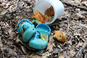 Image-preview_300x200