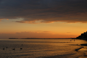 Image-preview_300x200