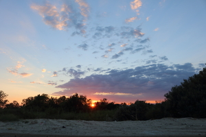 Image-preview_300x200