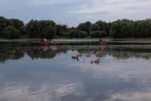 Image-preview_300x200