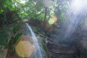 Image-preview_300x200