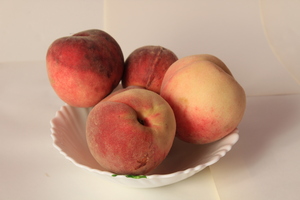 Image-preview_300x200