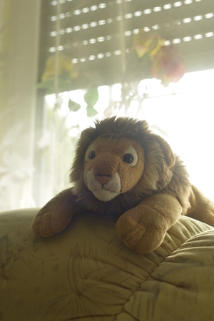 Image-preview_300x200