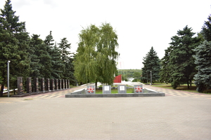 Image-preview_300x200