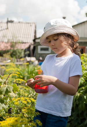 Image-preview_300x200