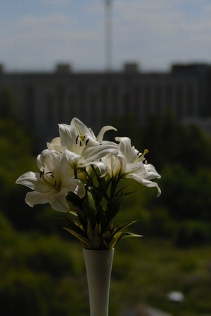 Image-preview_300x200