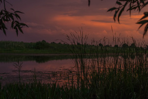 Image-preview_300x200