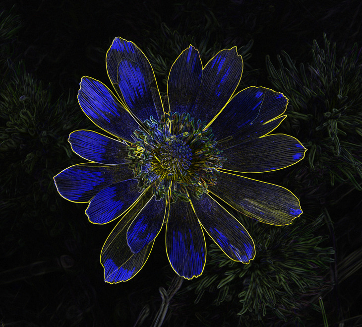 Image-normal