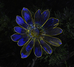 Image-preview_300x200