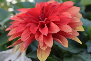 Image-preview_300x200