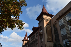 Image-preview_300x200