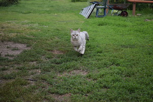 Image-preview_300x200